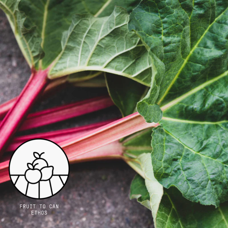D2B // Trade Rhubarb 12 x  inc. VAT  [LIVE]
